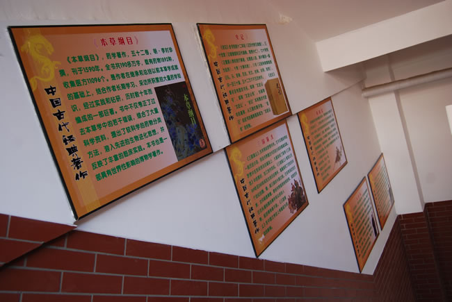 洛陽東方外國語學校，校園文化走廊