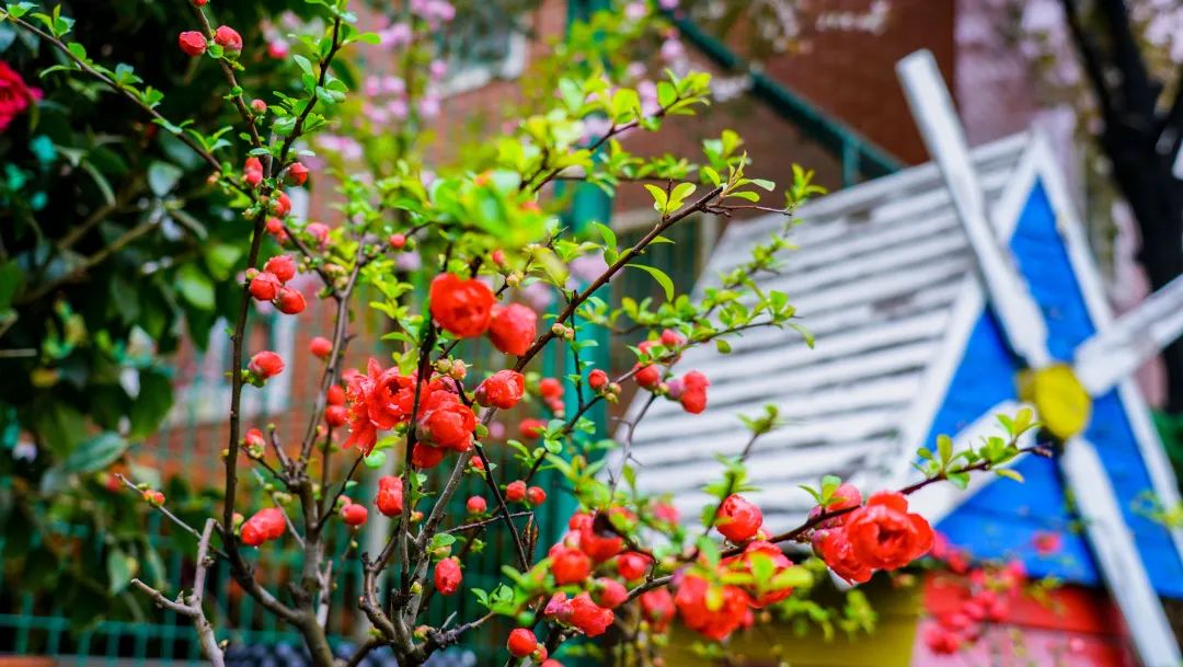 繁花似錦綻校園，核檢護(hù)航保平安