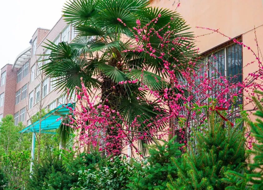 繁花似錦綻校園，核檢護(hù)航保平安