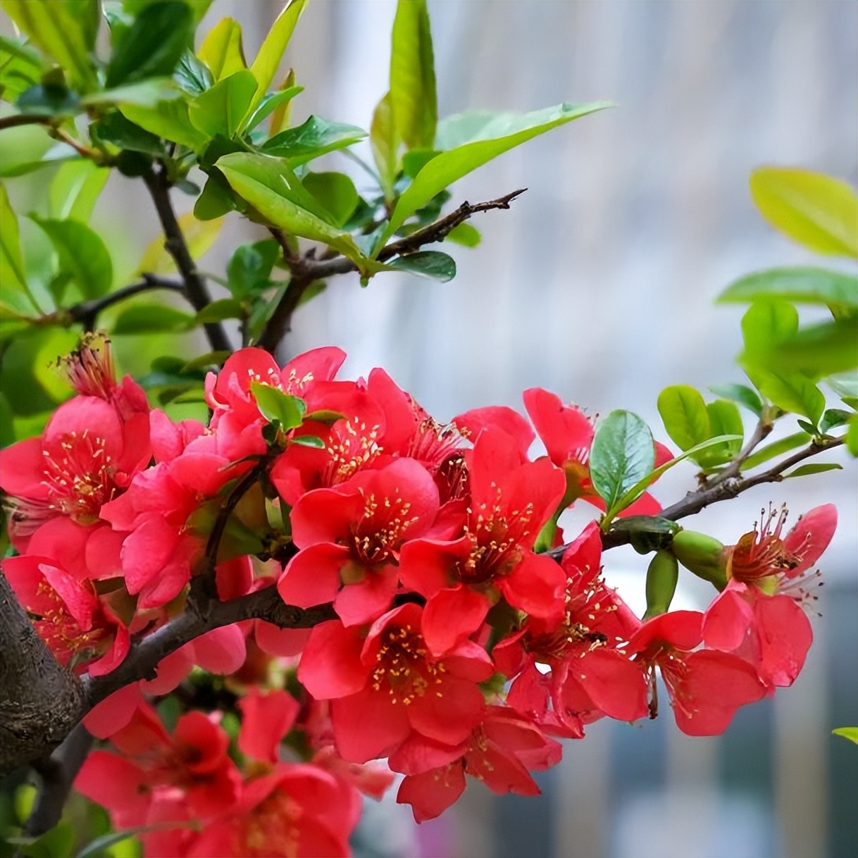 繁花似錦綻校園，核檢護(hù)航保平安